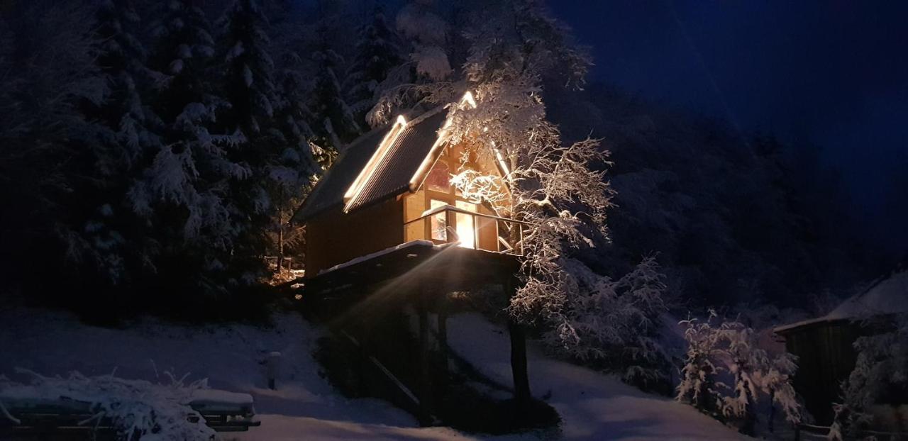 Tree House - Tara Place Mojkovac Exterior photo