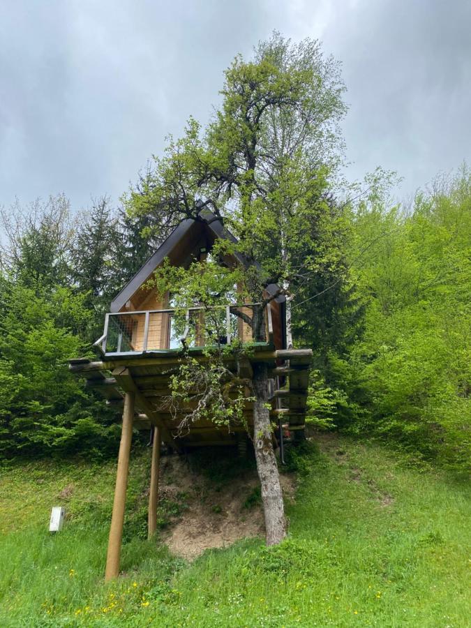 Tree House - Tara Place Mojkovac Exterior photo
